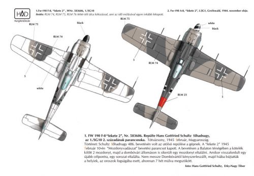 HAD models - Fw-190 F-8 / A-8  (Luftwaffe "black 2")