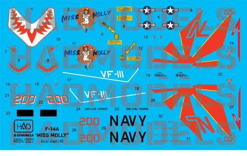 HAD models - F-14A VF111 "Sundowners" - Miss Molly (recommend for new Tamiya kit) NEWdesign