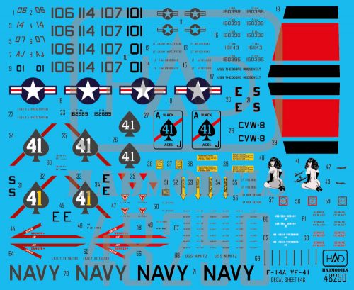 HAD models - F-14A "Black Aces" Final countdown