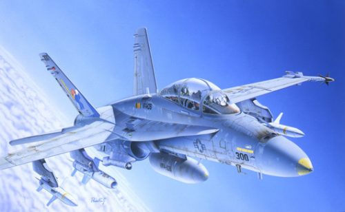 Italeri - F/A 18 Wild Weasel C/D Aircraft