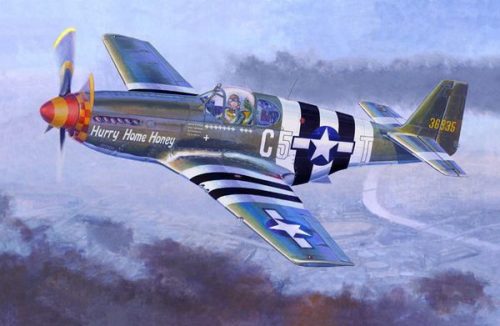 Mistercraft - P-51 B-5 Hurry Home Honey