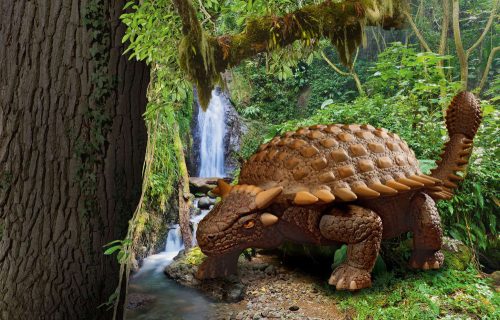 Revell - Dinosaurs - Ankylosaurus 1:13 (6477)